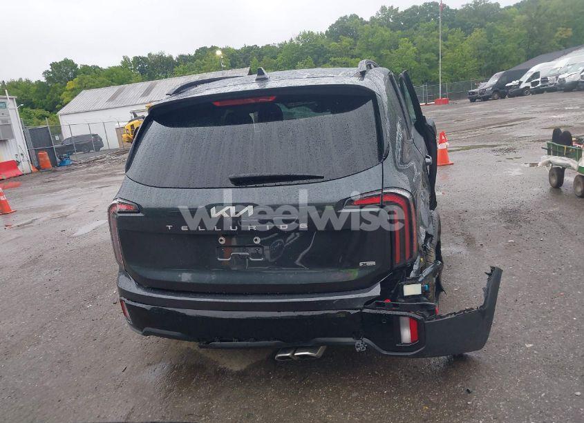 Photo 16 of 2024 Kia Telluride SX X-LINE (VIN 5XYP5DGC5RG505157)