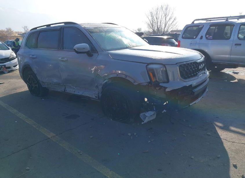 2023 Kia Telluride SX PRESTIGE X-LINE (VIN 5XYP5DGC6PG396480) main photo