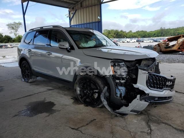 Photo 4 of 2024 KIA TELLURIDE SX (VIN 5XYP5DGC6RG419422)