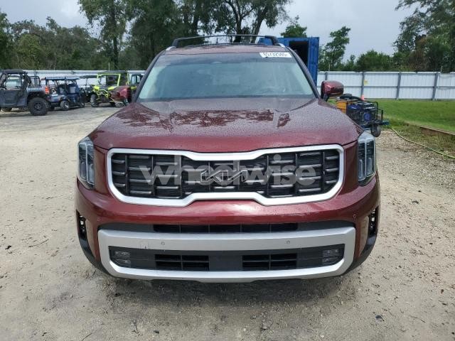 Photo 14 of 2024 KIA TELLURIDE SX (VIN 5XYP5DGC6RG493147)