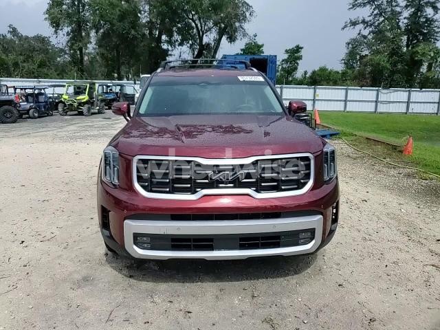Photo 3 of 2024 KIA TELLURIDE SX (VIN 5XYP5DGC6RG493147)