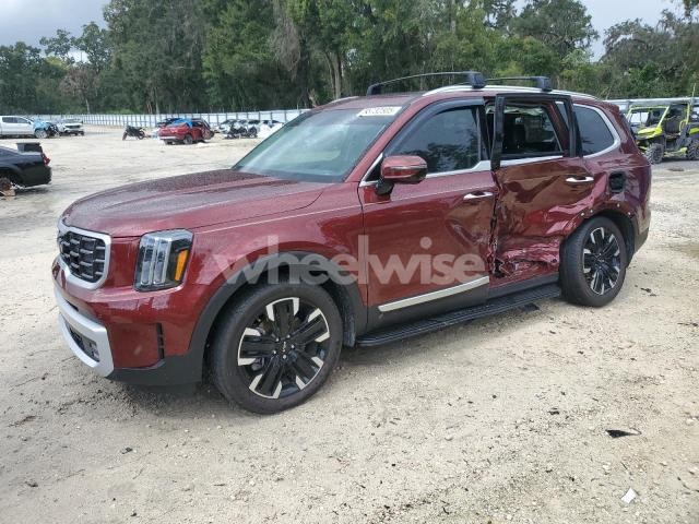 Photo 4 of 2024 KIA TELLURIDE SX (VIN 5XYP5DGC6RG493147)