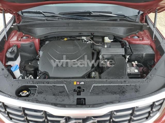 Photo 6 of 2024 KIA TELLURIDE SX (VIN 5XYP5DGC6RG493147)