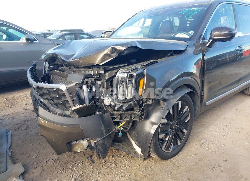 Photo 6 of 2023 Kia Telluride SX PRESTIGE (VIN 5XYP5DGC8PG345837)