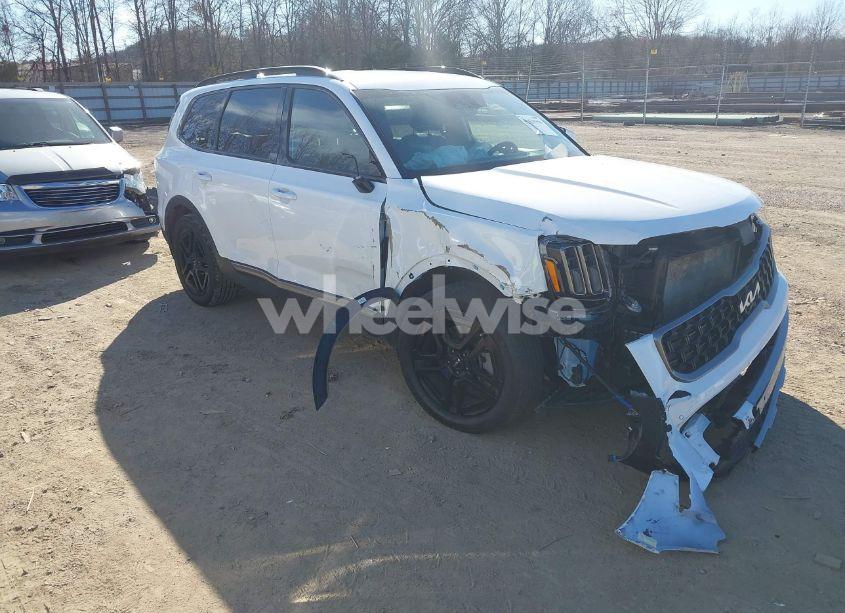 2023 Kia Telluride SX X-LINE (VIN 5XYP5DGC8PG399543) main photo