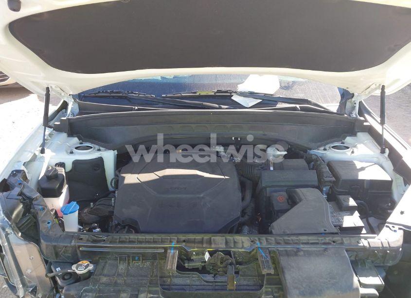 Photo 10 of 2023 Kia Telluride SX X-LINE (VIN 5XYP5DGC8PG399543)