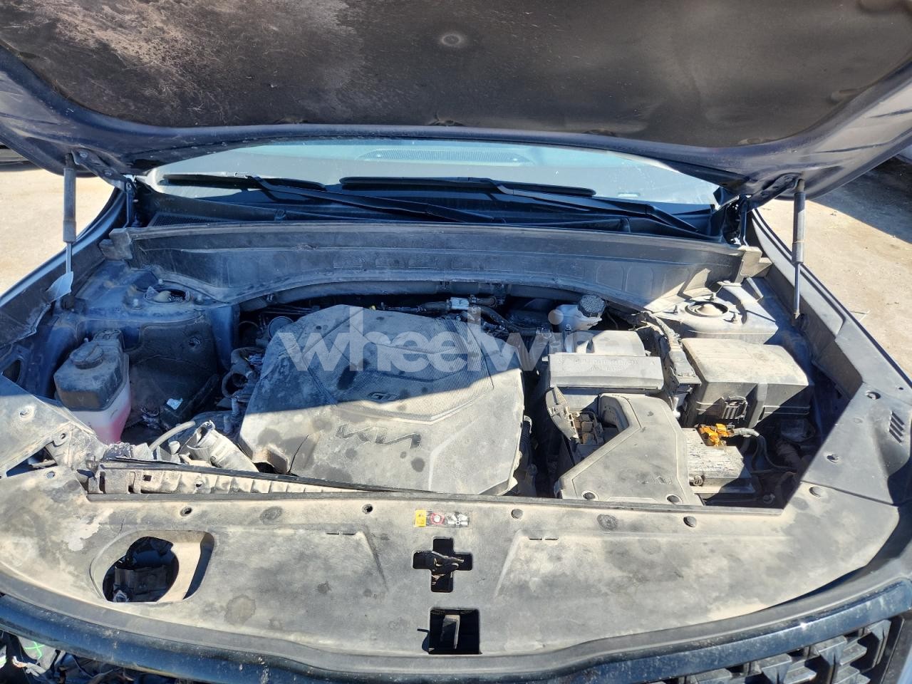 Photo 12 of 2024 KIA TELLURIDE SX (VIN 5XYP5DGC8RG419552)