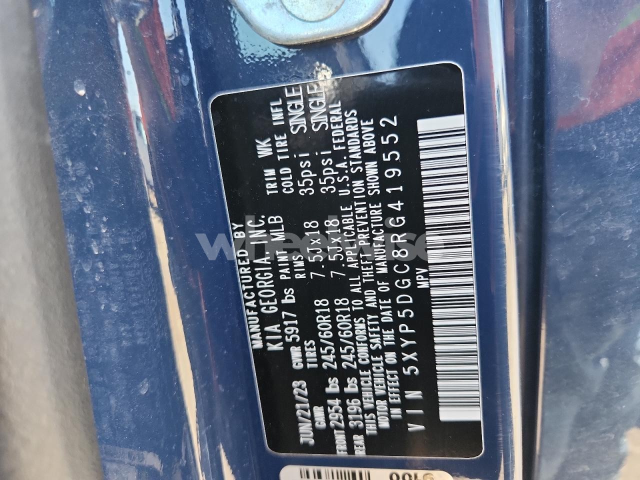 Photo 13 of 2024 KIA TELLURIDE SX (VIN 5XYP5DGC8RG419552)