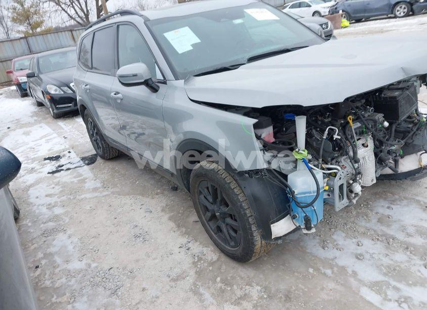 2024 Kia Telluride SX X-PRO (VIN 5XYP5DGC8RG420510) main photo