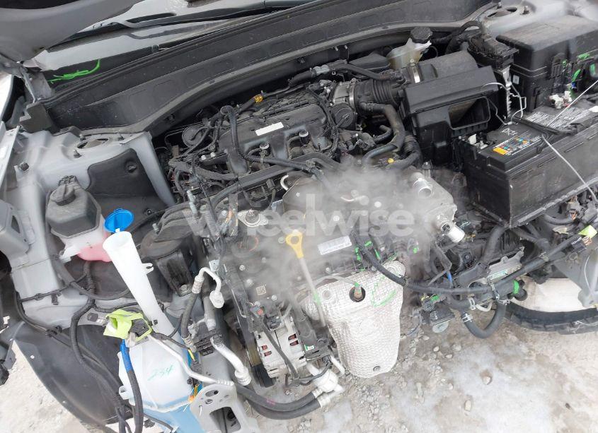 Photo 10 of 2024 Kia Telluride SX X-PRO (VIN 5XYP5DGC8RG420510)