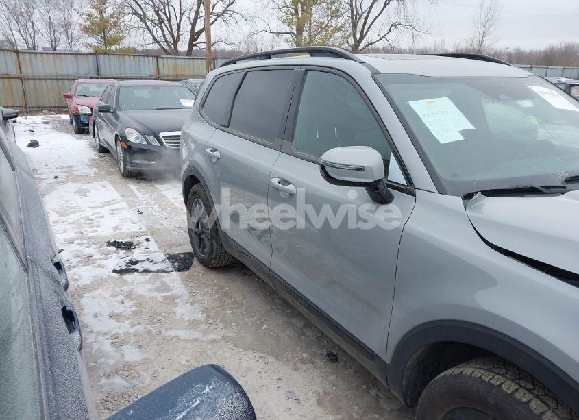 Photo 14 of 2024 Kia Telluride SX X-PRO (VIN 5XYP5DGC8RG420510)