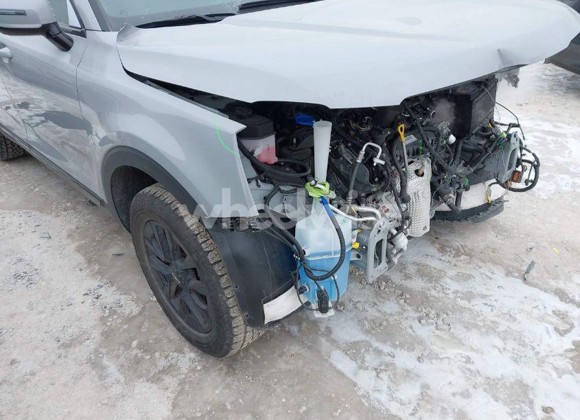 Photo 18 of 2024 Kia Telluride SX X-PRO (VIN 5XYP5DGC8RG420510)