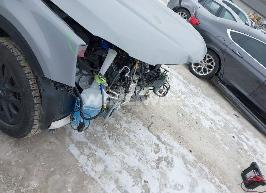 Photo 19 of 2024 Kia Telluride SX X-PRO (VIN 5XYP5DGC8RG420510)