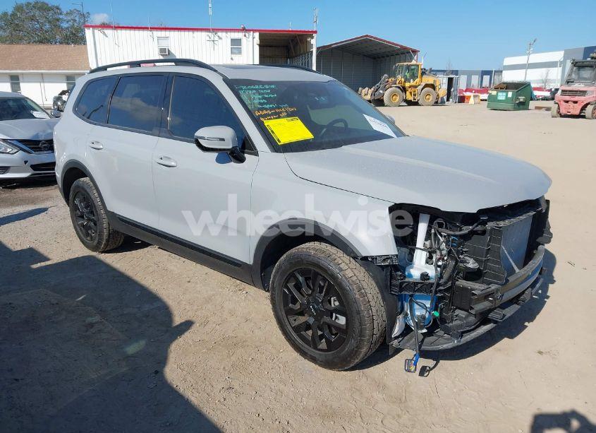 2024 Kia Telluride SX X-PRO (VIN 5XYP5DGC8RG435444) main photo