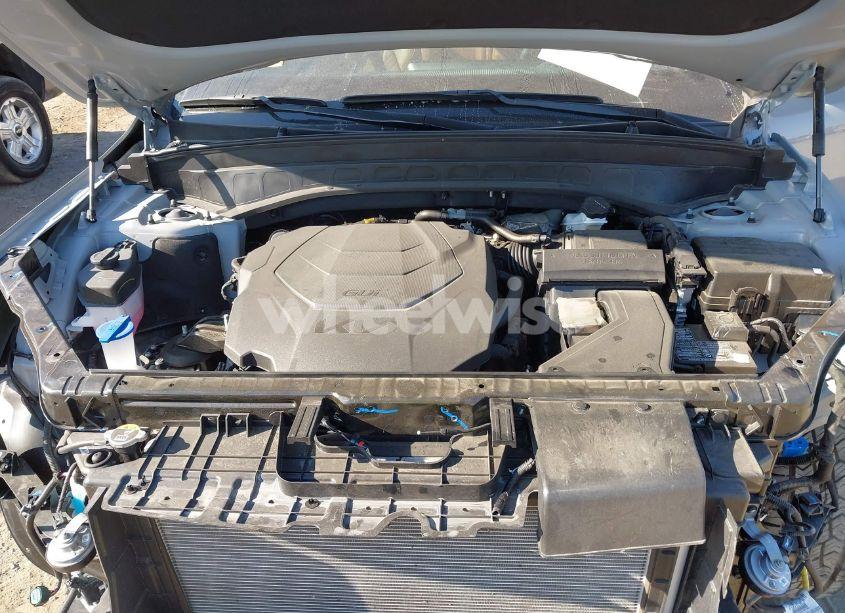 Photo 10 of 2024 Kia Telluride SX X-PRO (VIN 5XYP5DGC8RG435444)