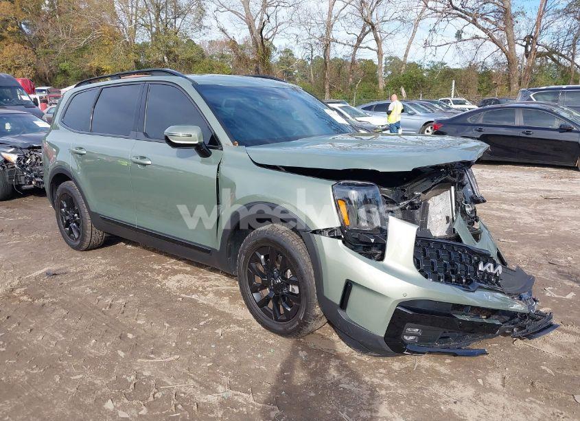 2024 Kia Telluride SX PRESTIGE X-PRO (VIN 5XYP5DGC8RG459193) main photo