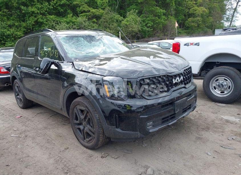 2024 Kia Telluride SX X-LINE (VIN 5XYP5DGC8RG520090) main photo