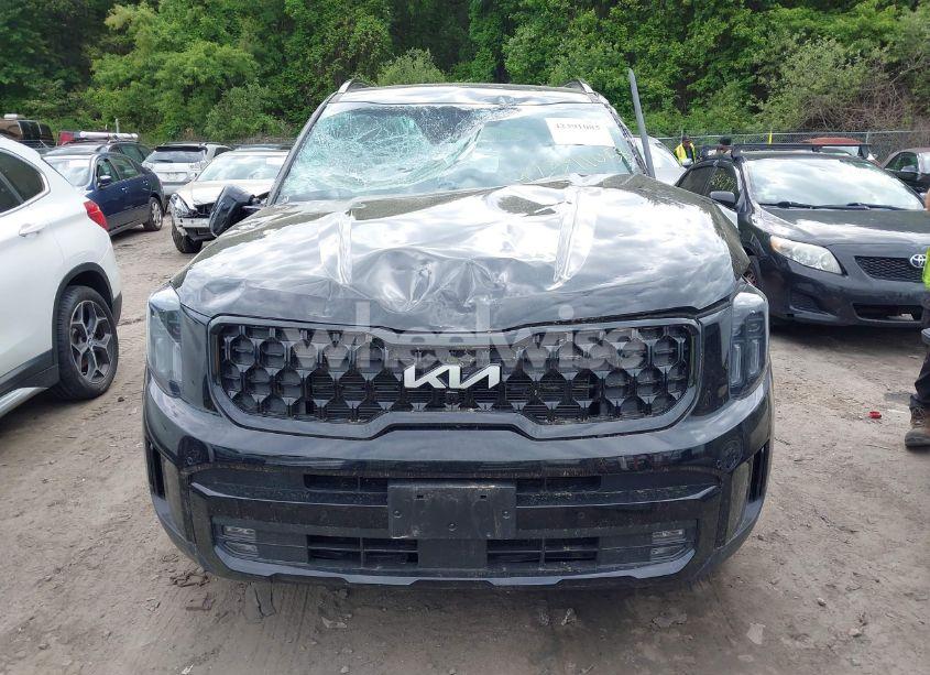 Photo 12 of 2024 Kia Telluride SX X-LINE (VIN 5XYP5DGC8RG520090)