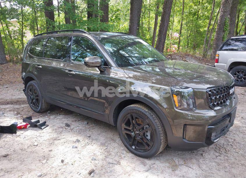 2024 Kia Telluride SX X-LINE (VIN 5XYP5DGC8RG530005) main photo