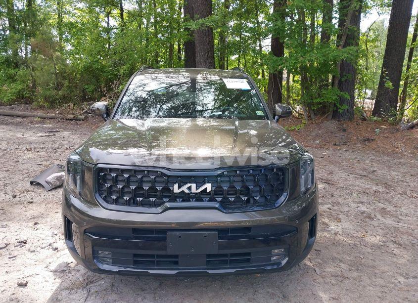 Photo 12 of 2024 Kia Telluride SX X-LINE (VIN 5XYP5DGC8RG530005)