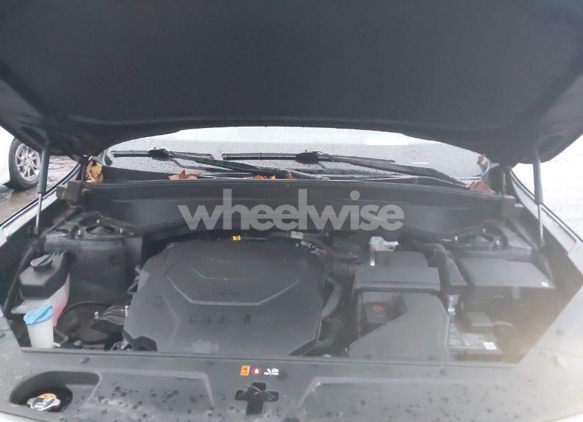 Photo 10 of 2023 Kia Telluride SX PRESTIGE X-PRO (VIN 5XYP5DGC9PG339027)