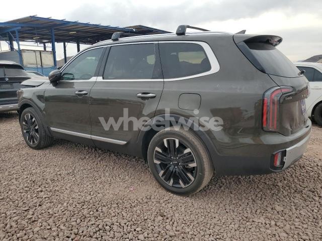 2024 KIA TELLURIDE SX (VIN 5XYP5DGC9RG411492) main photo