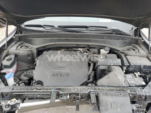 Photo 4 of 2024 KIA TELLURIDE SX (VIN 5XYP5DGC9RG411492)