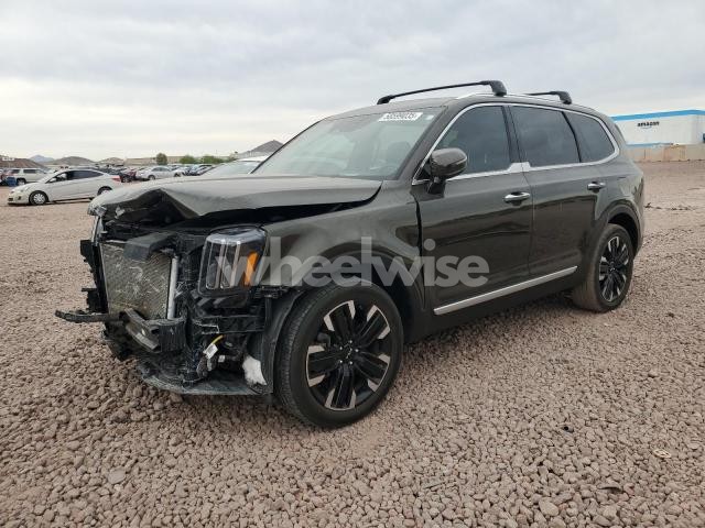 Photo 7 of 2024 KIA TELLURIDE SX (VIN 5XYP5DGC9RG411492)