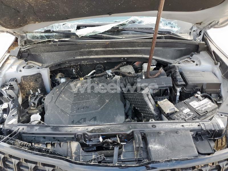 Photo 7 of 2024 KIA TELLURIDE SX (VIN 5XYP5DGC9RG455959)