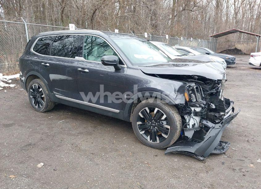 2025 Kia Telluride SX (VIN 5XYP5DGC9SG585777) main photo