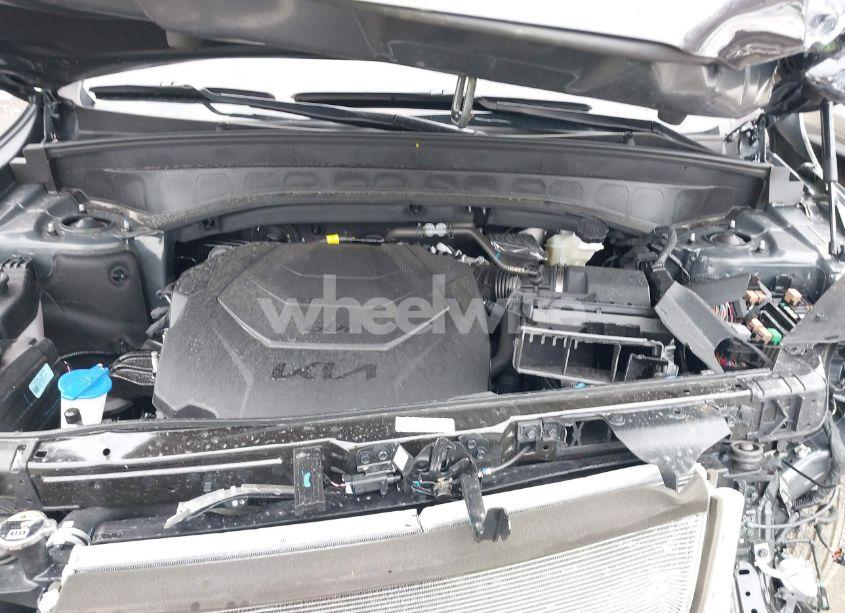 Photo 10 of 2025 Kia Telluride SX (VIN 5XYP5DGC9SG585777)