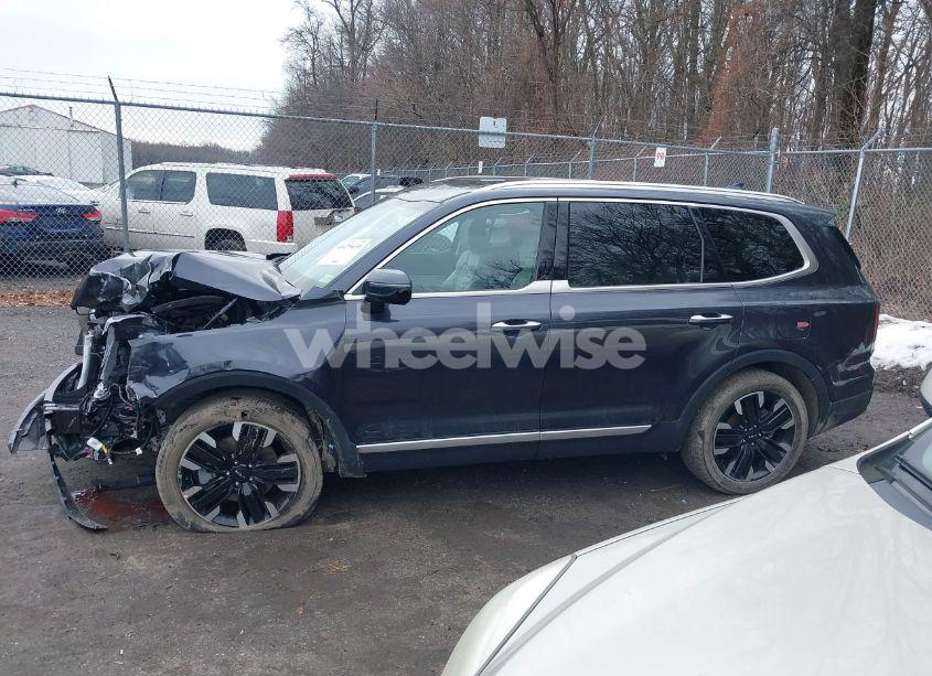 Photo 14 of 2025 Kia Telluride SX (VIN 5XYP5DGC9SG585777)