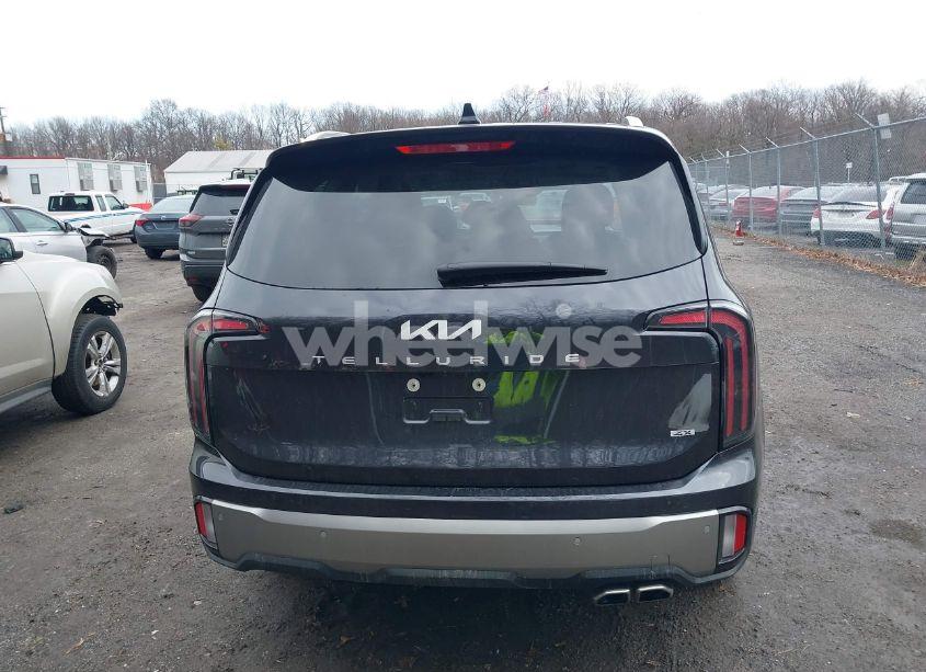 Photo 16 of 2025 Kia Telluride SX (VIN 5XYP5DGC9SG585777)