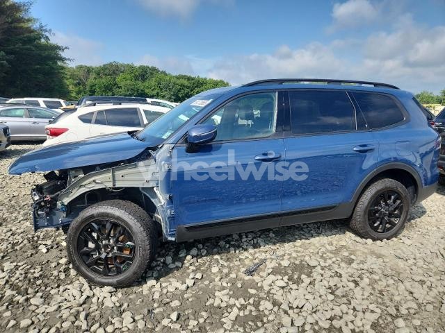 Photo 10 of 2024 KIA TELLURIDE SX (VIN 5XYP5DGCXRG421366)