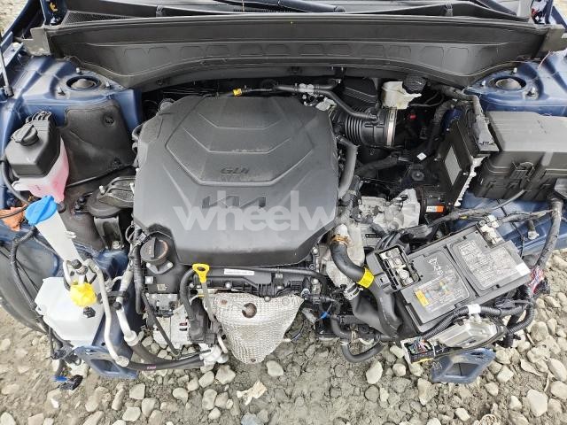 Photo 9 of 2024 KIA TELLURIDE SX (VIN 5XYP5DGCXRG421366)