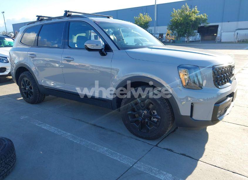2024 Kia Telluride SX PRESTIGE X-PRO (VIN 5XYP5DGCXRG428642) main photo