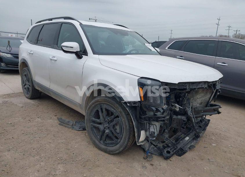 2024 Kia Telluride SX PRESTIGE X-LINE (VIN 5XYP5DGCXRG490882) main photo