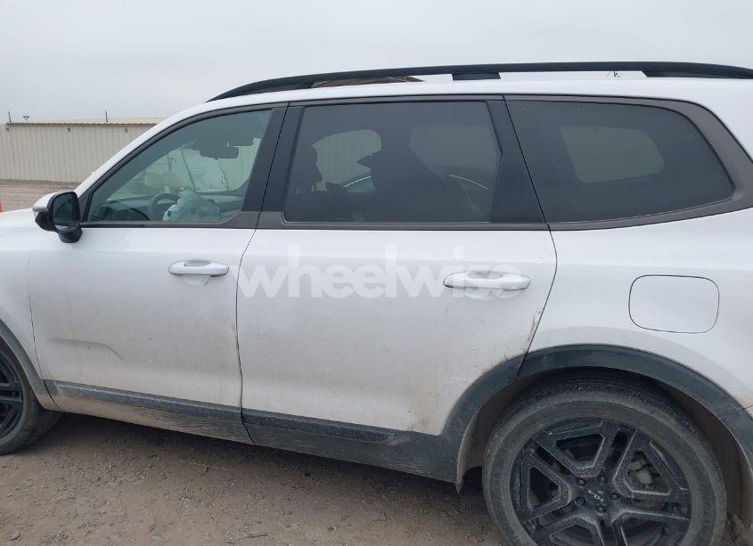 Photo 15 of 2024 Kia Telluride SX PRESTIGE X-LINE (VIN 5XYP5DGCXRG490882)