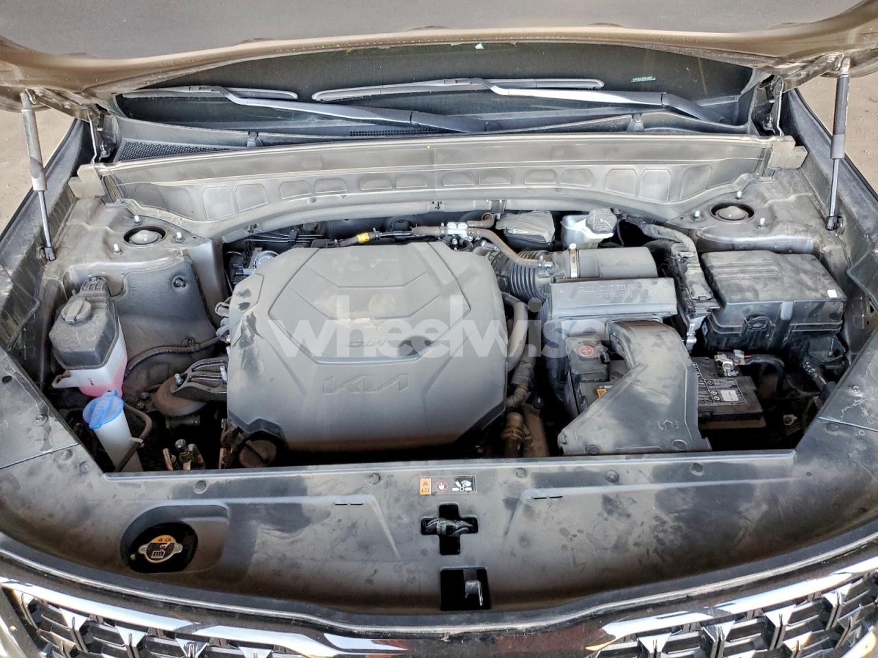 Photo 11 of 2024 KIA TELLURIDE SX (VIN 5XYP5DGCXRG519605)