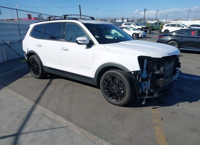 2022 Kia Telluride SX (VIN 5XYP5DHC0NG225719) main photo