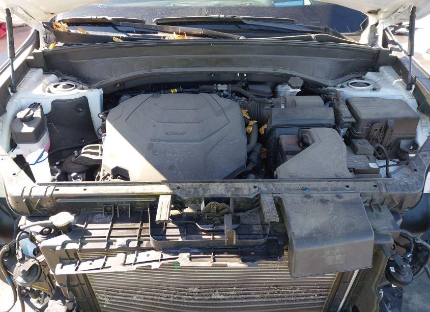 Photo 10 of 2022 Kia Telluride SX (VIN 5XYP5DHC0NG225719)