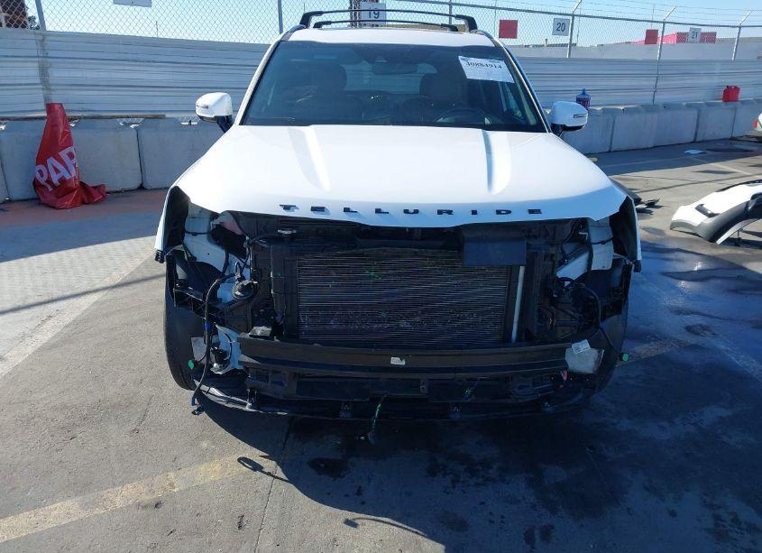 Photo 13 of 2022 Kia Telluride SX (VIN 5XYP5DHC0NG225719)