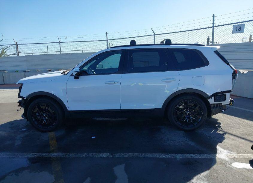Photo 15 of 2022 Kia Telluride SX (VIN 5XYP5DHC0NG225719)
