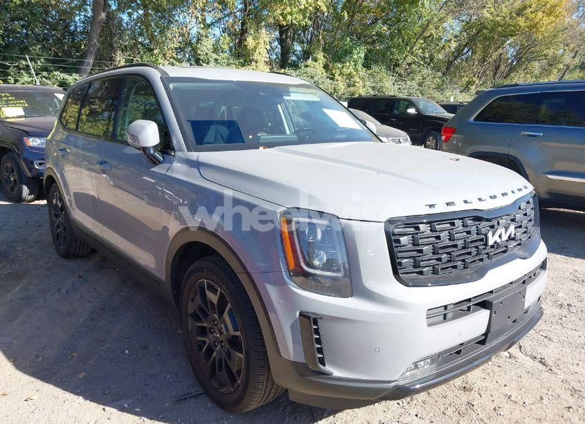 2022 Kia Telluride SX (VIN 5XYP5DHC0NG279263) main photo