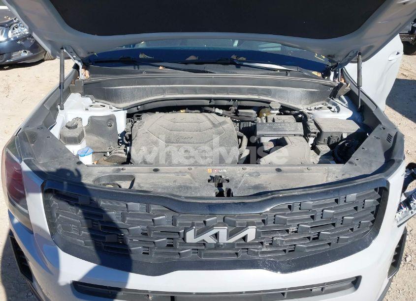 Photo 10 of 2022 Kia Telluride SX (VIN 5XYP5DHC0NG279263)