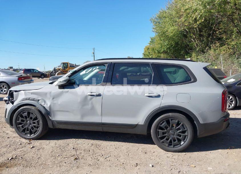 Photo 14 of 2022 Kia Telluride SX (VIN 5XYP5DHC0NG279263)