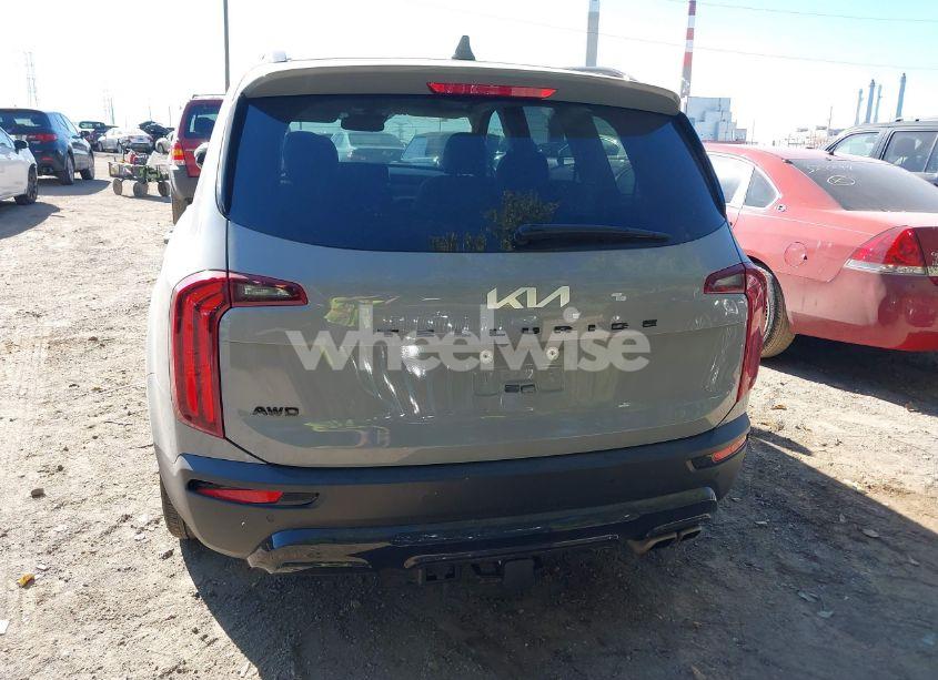 Photo 16 of 2022 Kia Telluride SX (VIN 5XYP5DHC0NG279263)