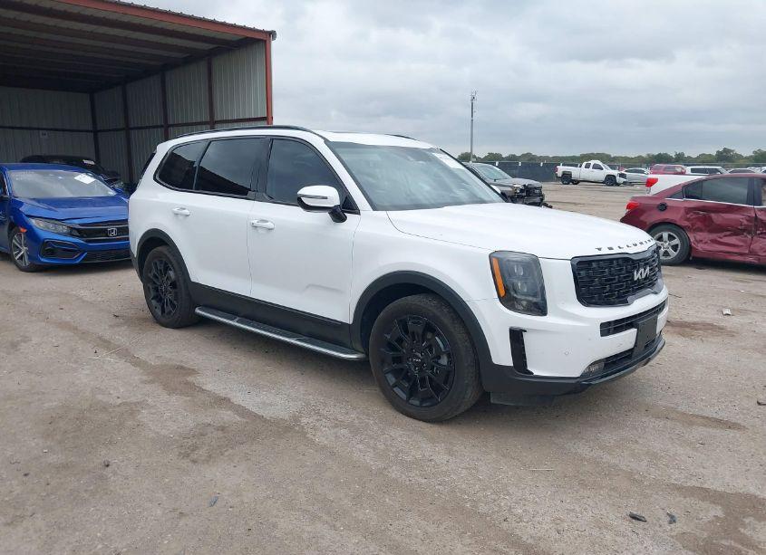 2022 Kia Telluride SX (VIN 5XYP5DHC0NG311919) main photo