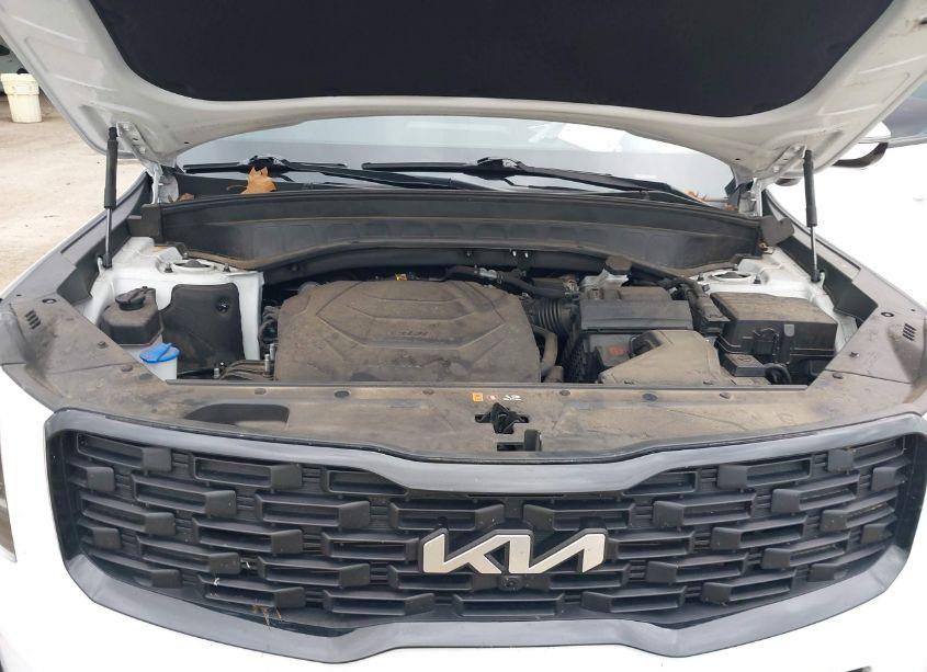 Photo 10 of 2022 Kia Telluride SX (VIN 5XYP5DHC0NG311919)
