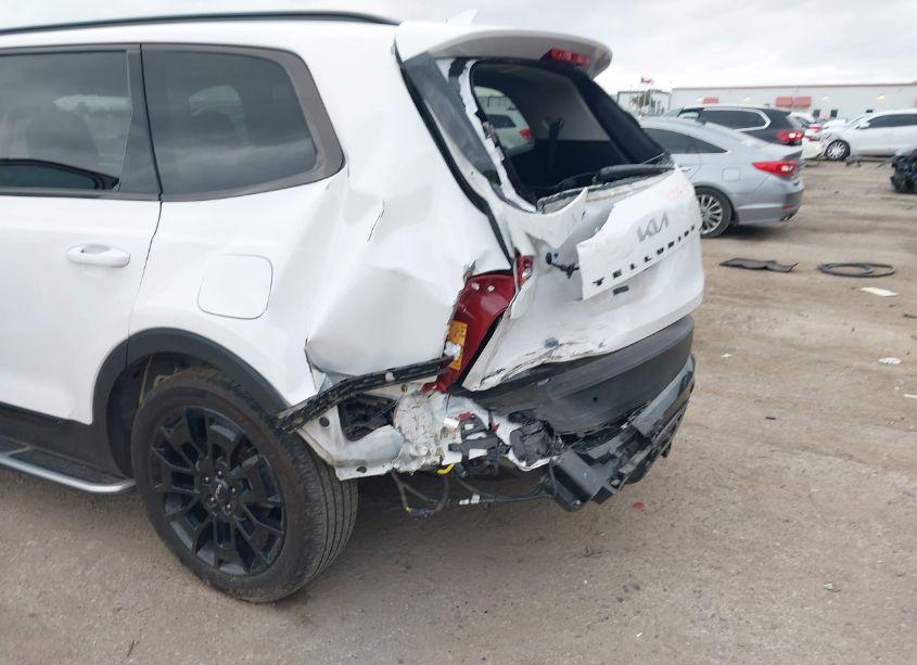 Photo 6 of 2022 Kia Telluride SX (VIN 5XYP5DHC0NG311919)